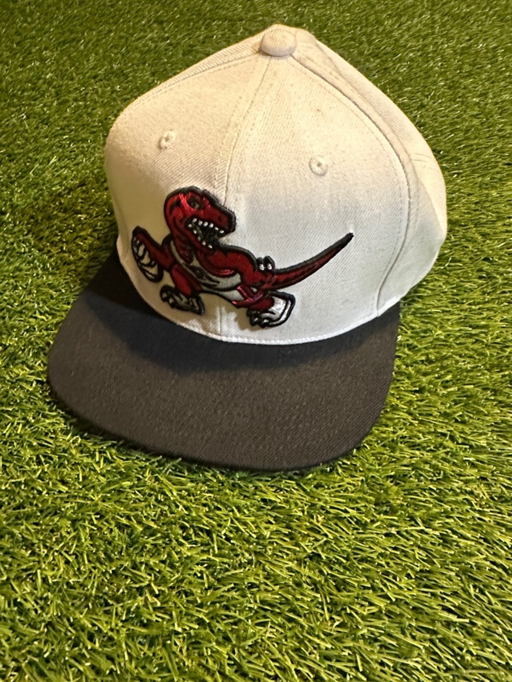 Mitchell & Ness Toronto Raptors Gray Black Snapback Hat with Red Dinosaur Patch